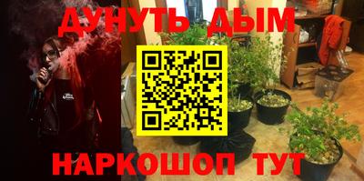 прущие крисы Аргун
