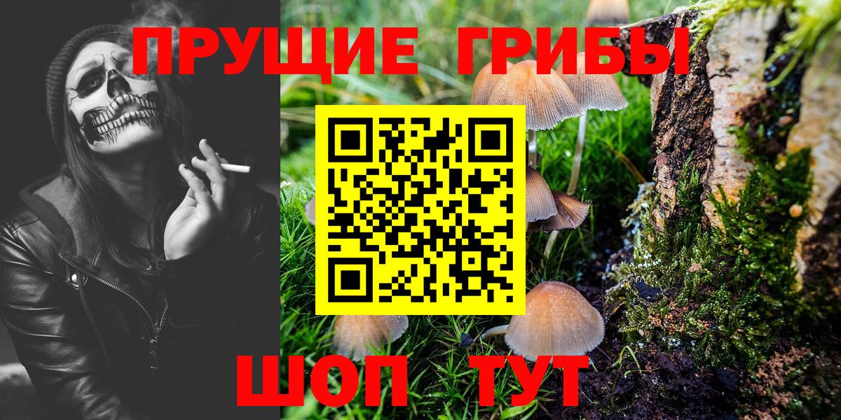 Галлюциногенные грибы Psilocybine cubensis Вязники