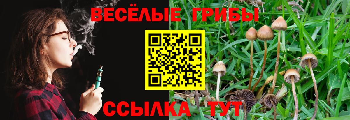 Вязники  Псилоцибиновые грибы GOLDEN TEACHER  Псилоцибиновые грибы GOLDEN TEACHER  Вход с VPN 